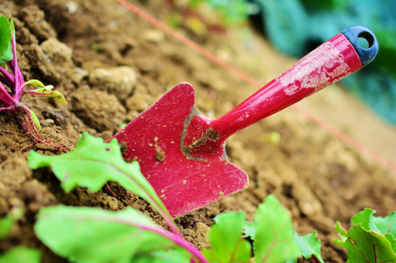 jardinerie-MONS-min_gardening-2448134